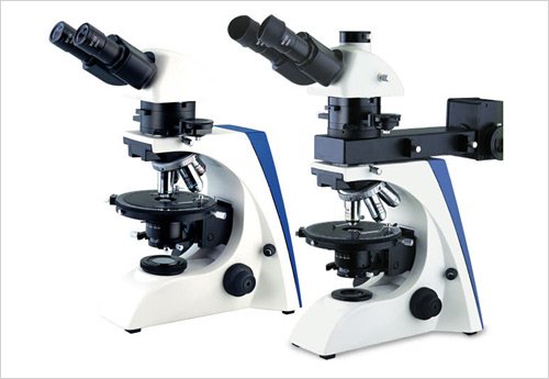 Polarize Mikroskop