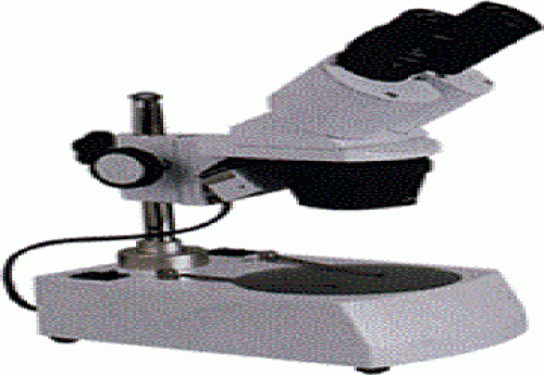 Stereo Mikroskop