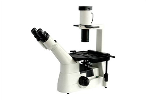 Ters Biyolojik Mikroskop